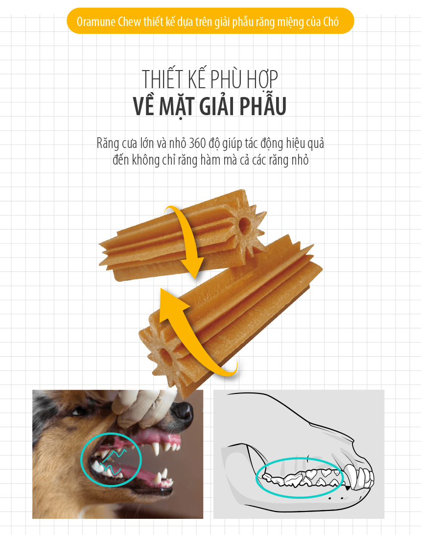 Lợi ích vượt trội của Oramune Chew – Thức ăn chăm sóc răng miệng cao cấp