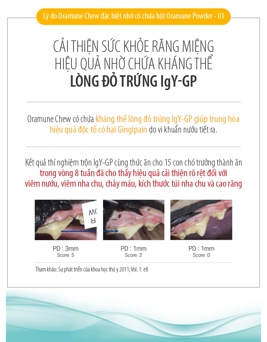 Thức ăn chăm sóc răng miệng chống dị ứng Oramune Chew dạng bánh thưởng cho chó lẻ thanh 12g - Image 8