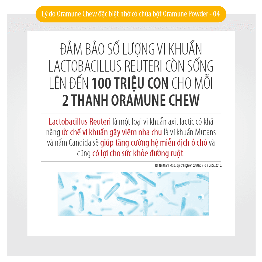 Thức ăn chăm sóc răng miệng chống dị ứng Oramune Chew dạng bánh thưởng cho chó lẻ thanh 12g - Image 11