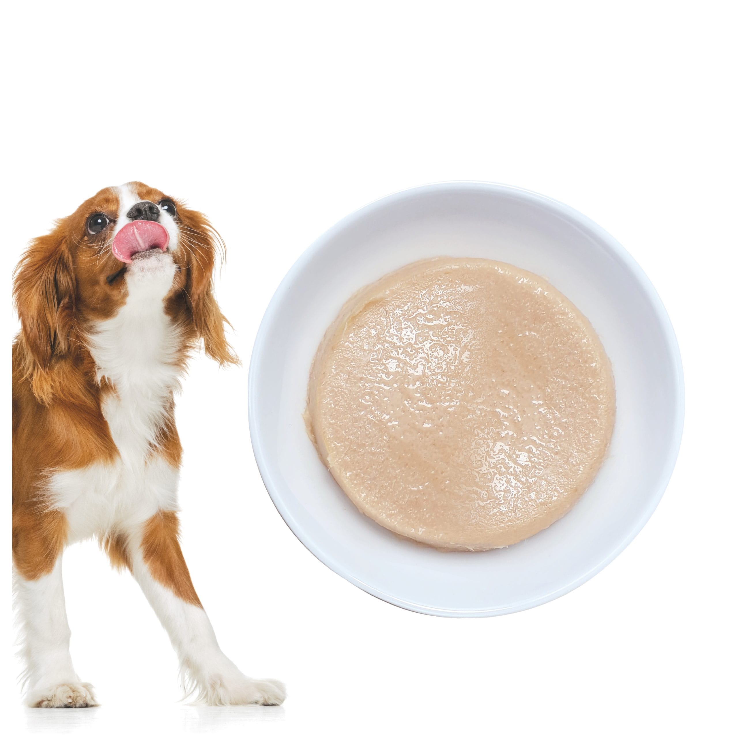 Pate chó siêu dinh dưỡng kích thích thèm ăn A/a 8x30g - Image 4