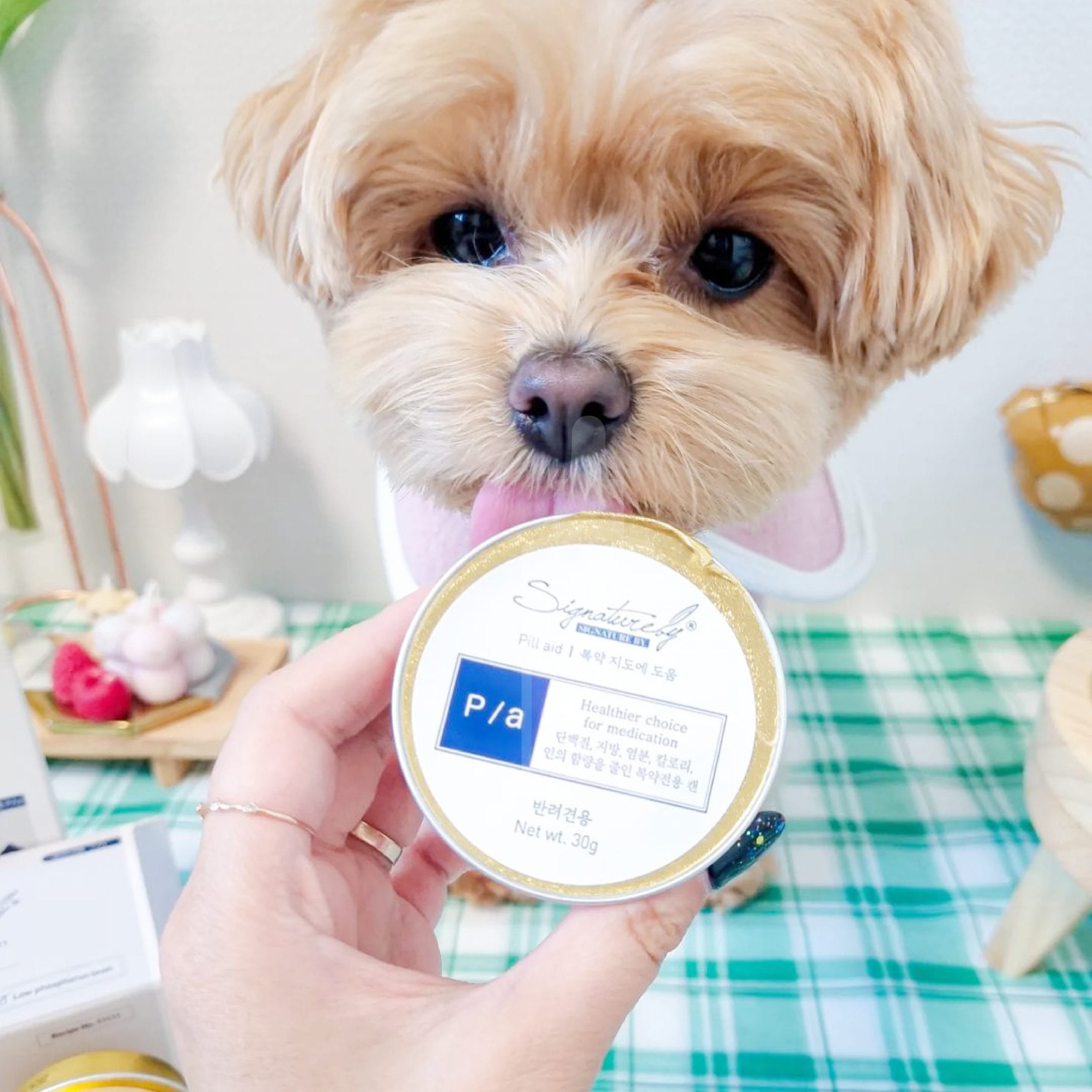 Pate chó dùng kèm thuốc hồi phục sức khỏe P/a 8x30g - Image 3