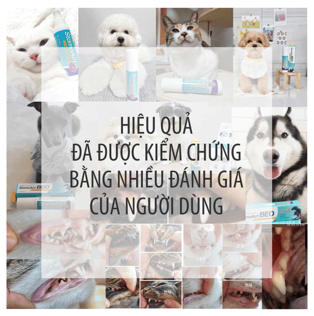 Gel chăm sóc răng miệng chó mèo Enzyme Postbiotic BEO - Image 7
