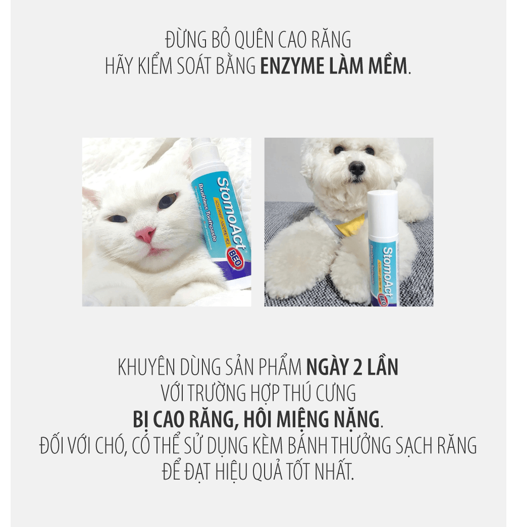 Gel chăm sóc răng miệng chó mèo Enzyme Postbiotic BEO - Image 16