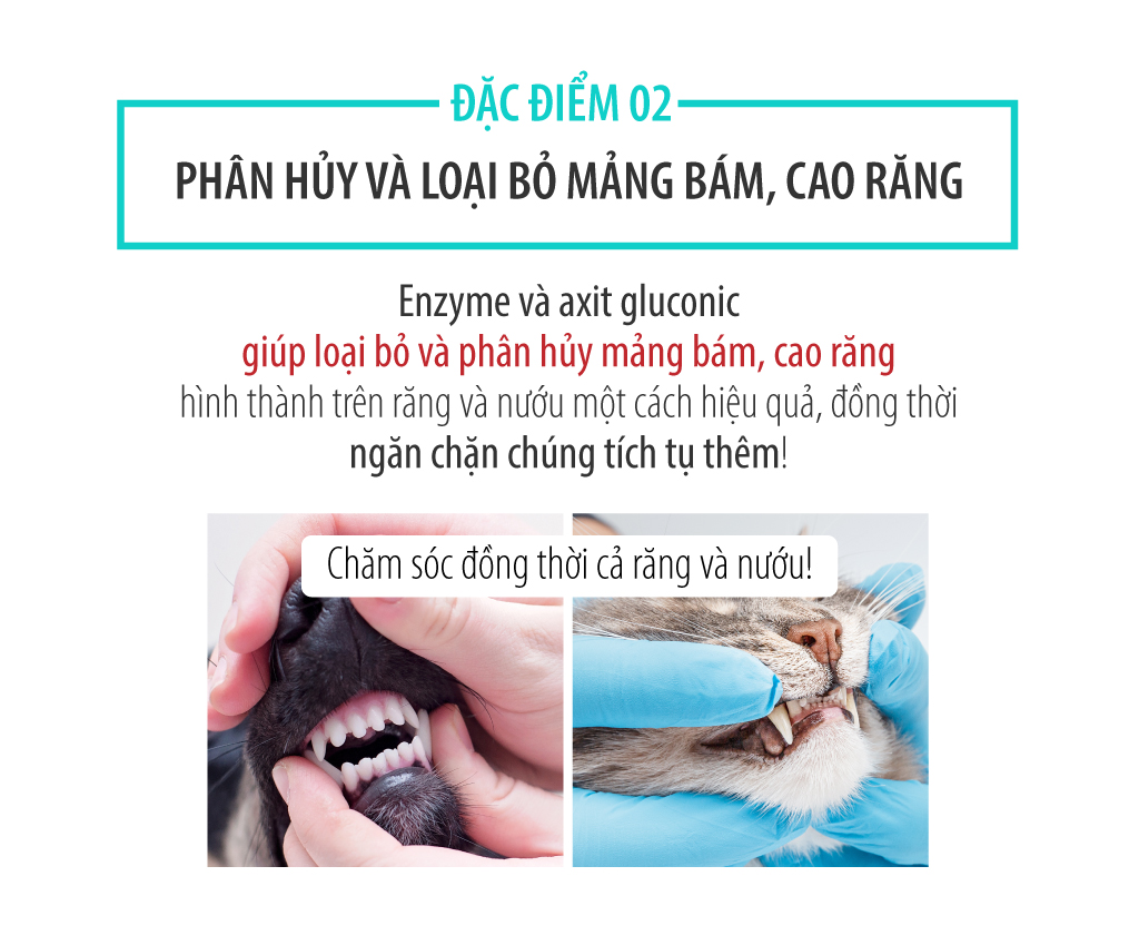 Gel chăm sóc răng miệng chó mèo Enzyme Postbiotic BEO - Image 23