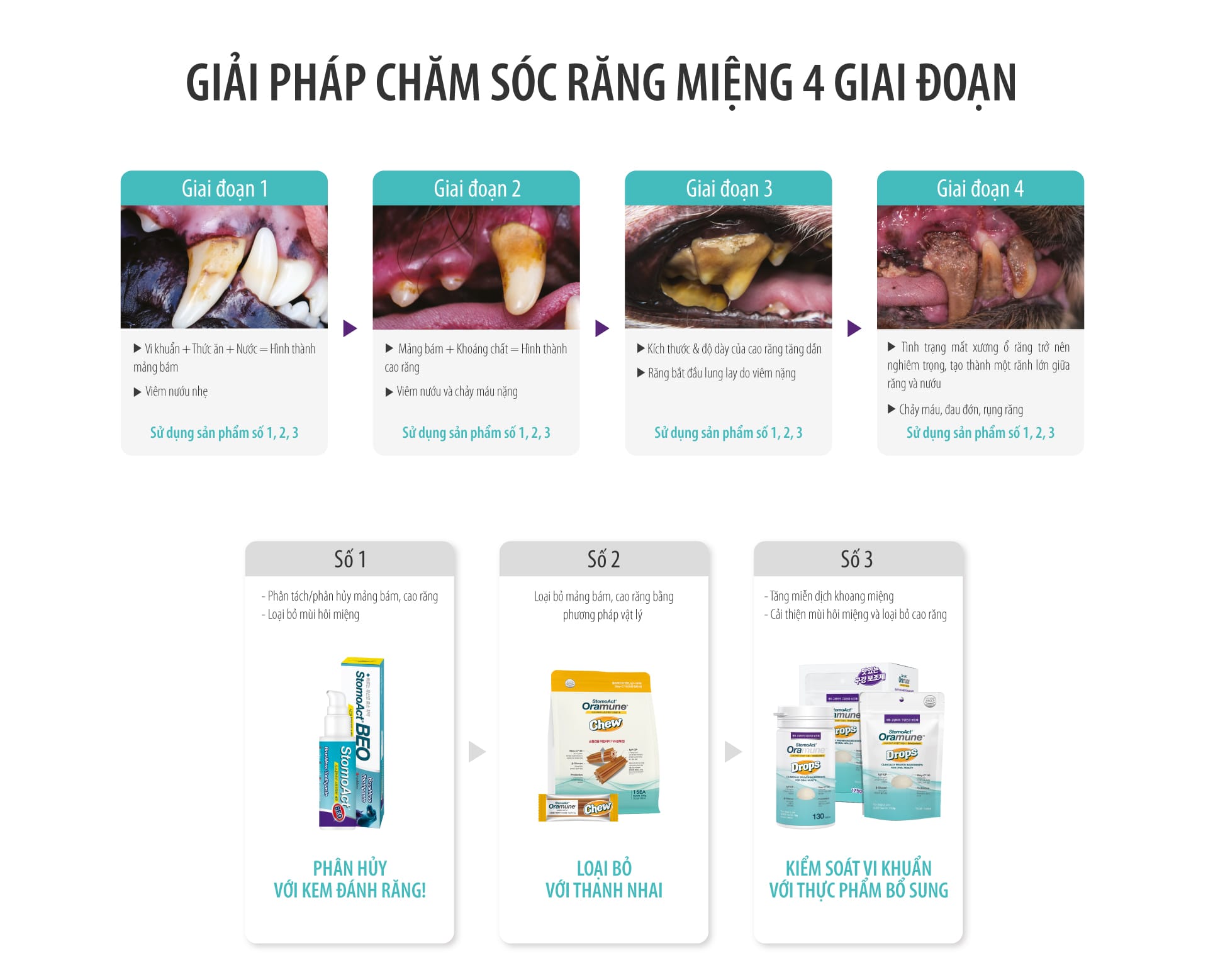 Gel chăm sóc răng miệng chó mèo Enzyme Postbiotic BEO - Image 21