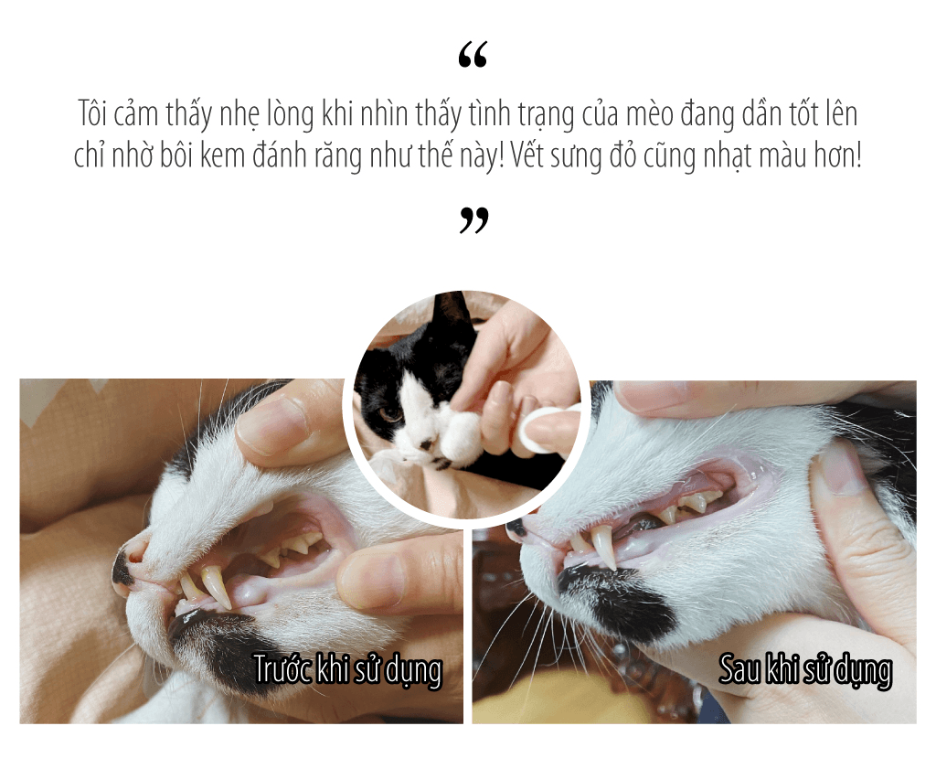 Gel chăm sóc răng miệng chó mèo Enzyme Postbiotic BEO - Image 9