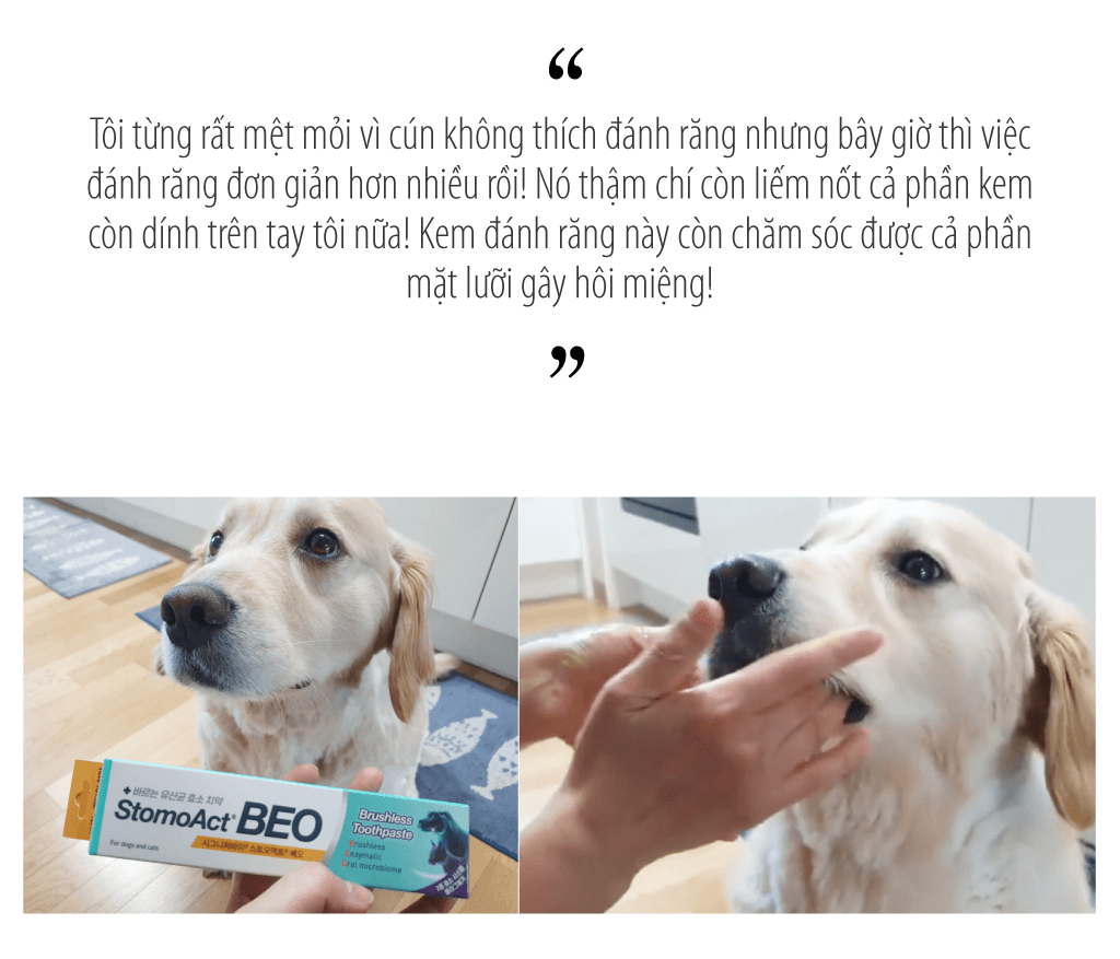Gel chăm sóc răng miệng chó mèo Enzyme Postbiotic BEO - Image 10