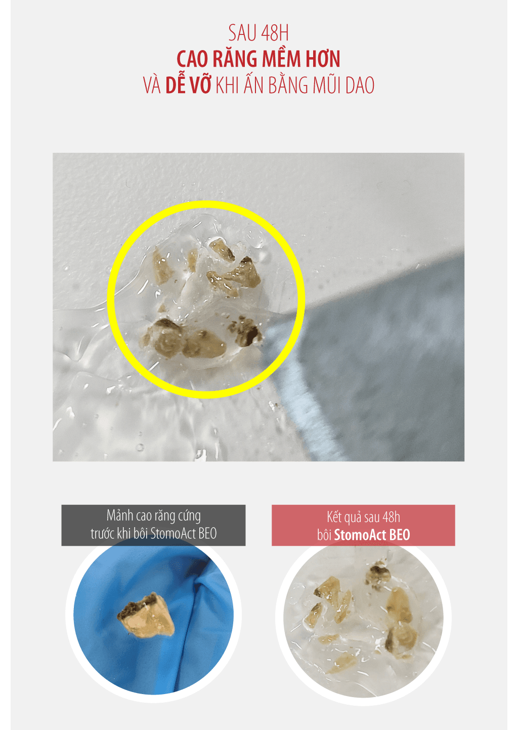 Gel chăm sóc răng miệng chó mèo Enzyme Postbiotic BEO - Image 15