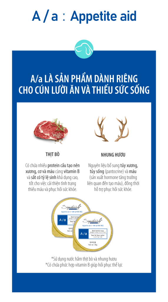 thức ăn hồi phục cho mèo