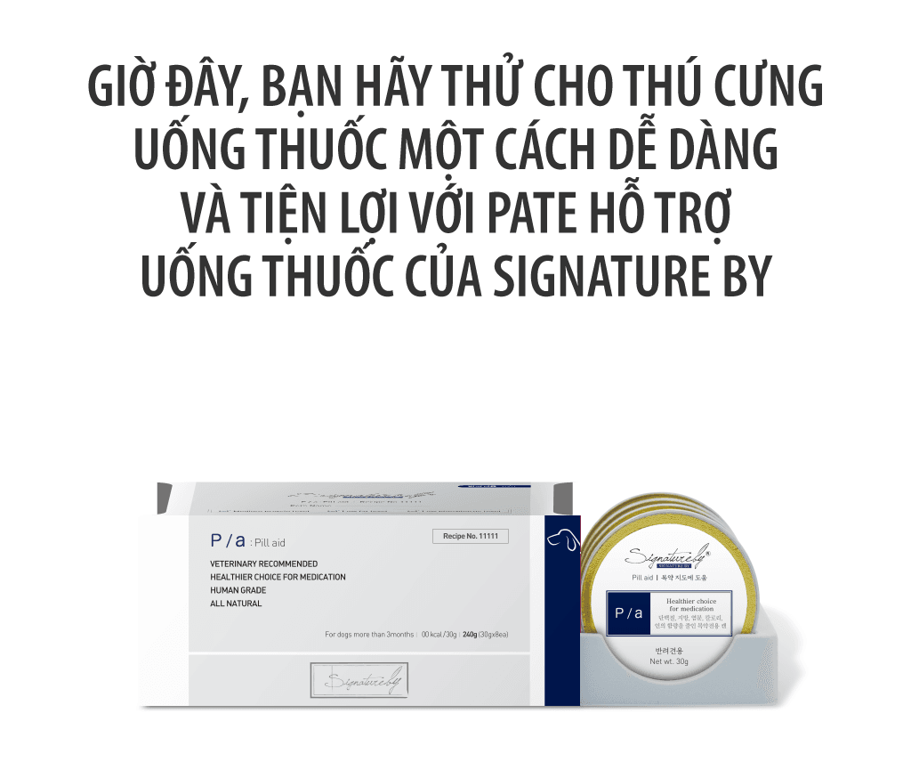Pate chó dùng kèm thuốc hồi phục sức khỏe P/a 8x30g - Image 6