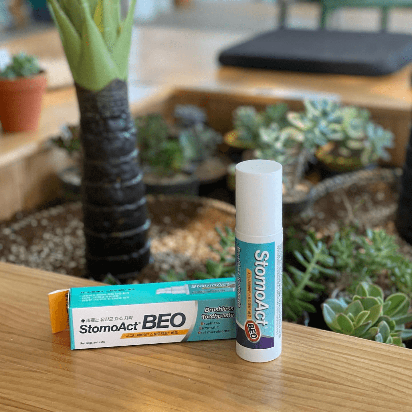 Gel chăm sóc răng miệng chó mèo Enzyme Postbiotic BEO - Image 3