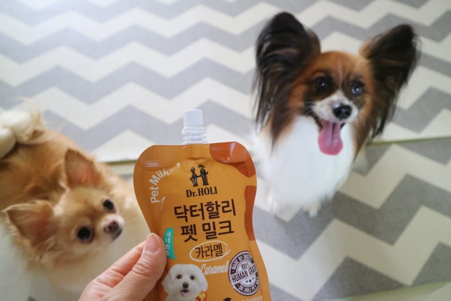Sữa không lactose cho thú cưng