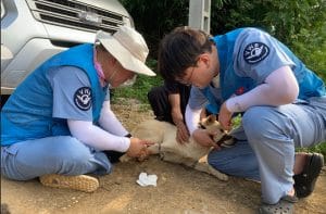 Hoạt động thiện nguyện tại Lạng Sơn