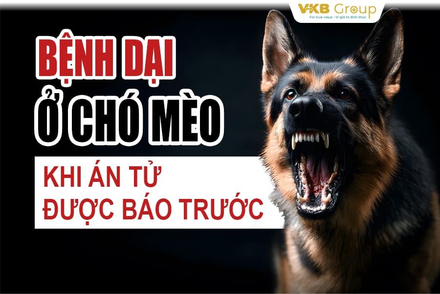 Bệnh dại ở chó mèo