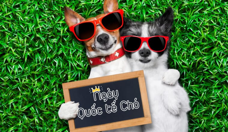 quốc tế chó 26 tháng 8