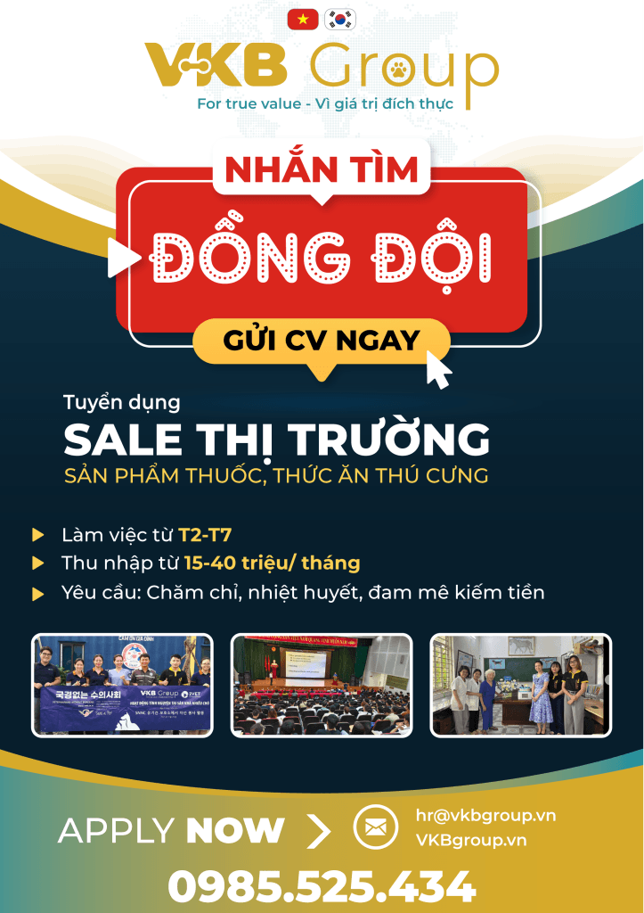 Tuyển sale thị trường