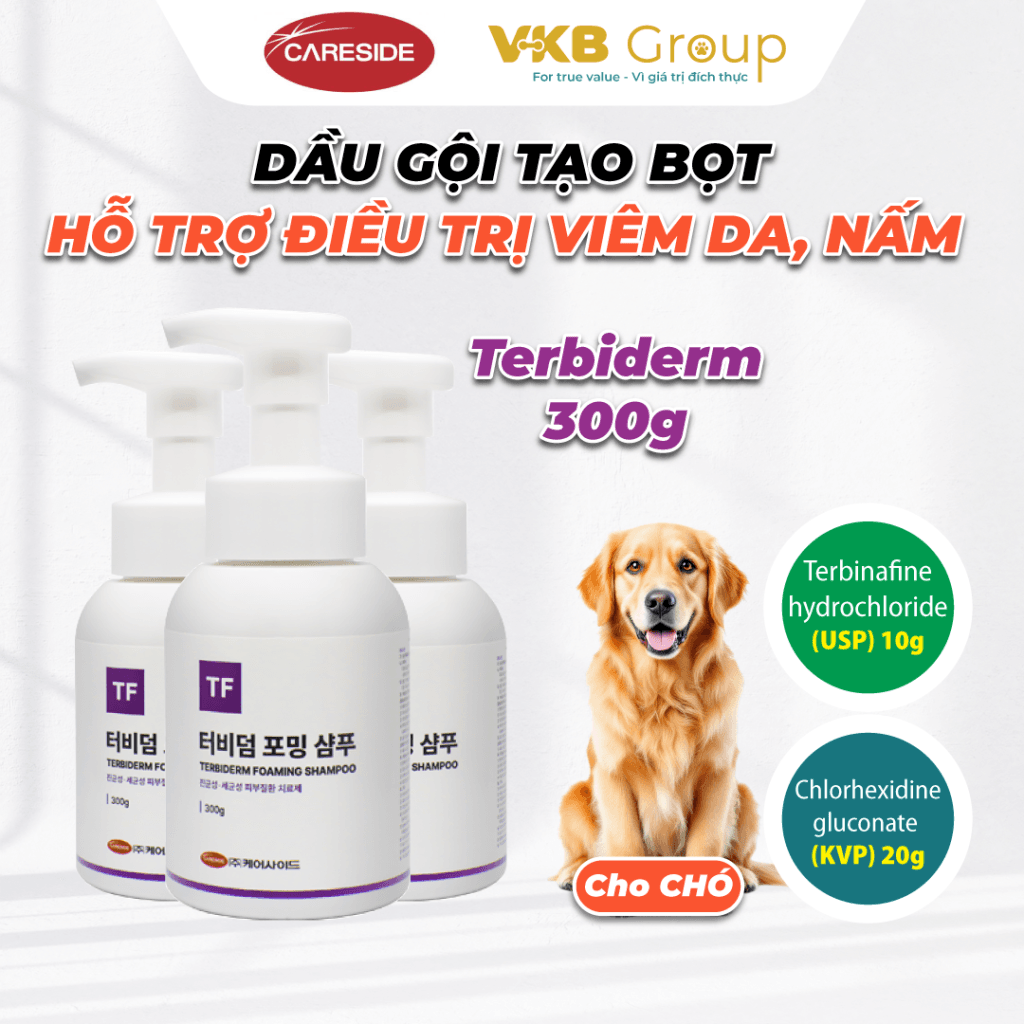 trị nấm cho chó