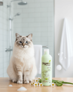 Sữa tắm kèm xả Organic cho Mèo