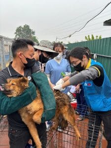Vietnam Pet Care Tour 2026 hoạt động 2