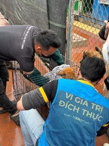 Vietnam Pet Care Tour 2026 hoạt động 4