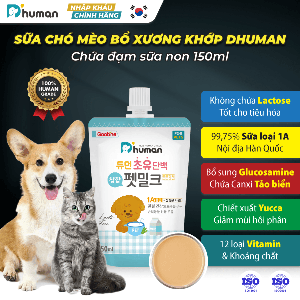 Sữa-chó-mèo-Dhuman-bổ-xương-khớp-không-lactose-150ml