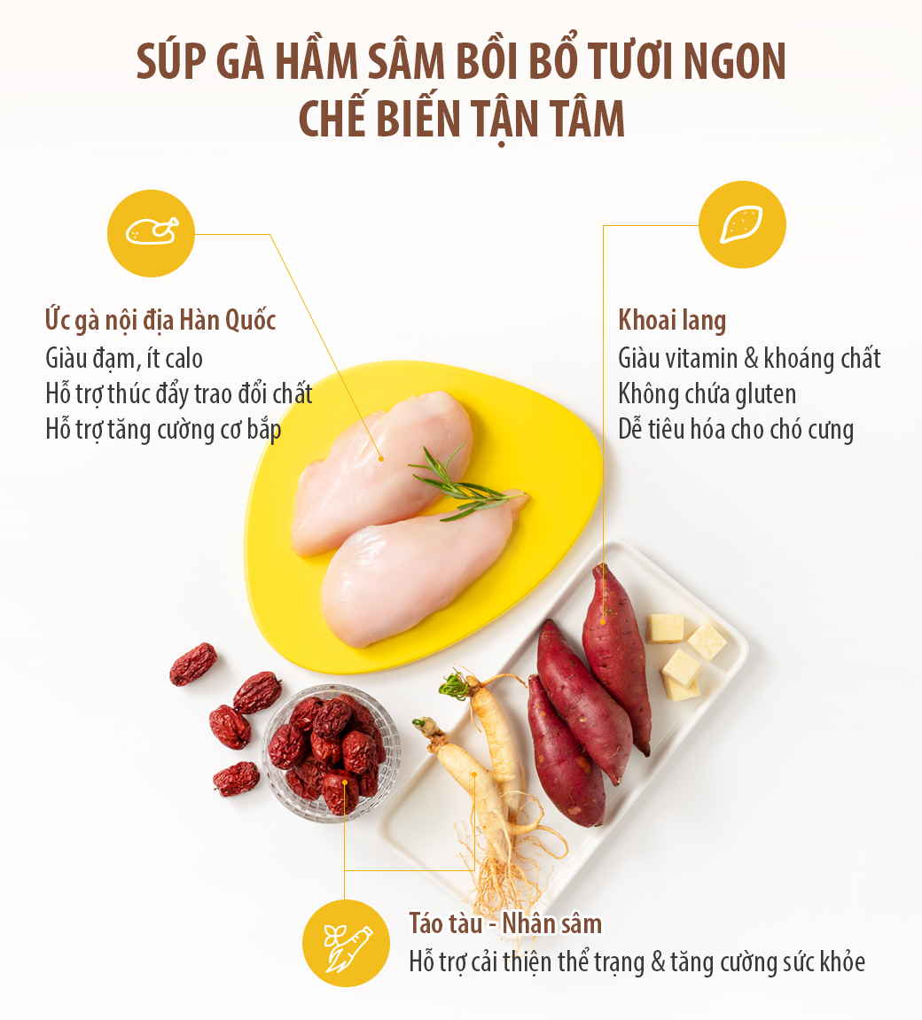 Súp gà hầm sâm bồi bổ thể lực chứa ức gà nội địa hàn quốc