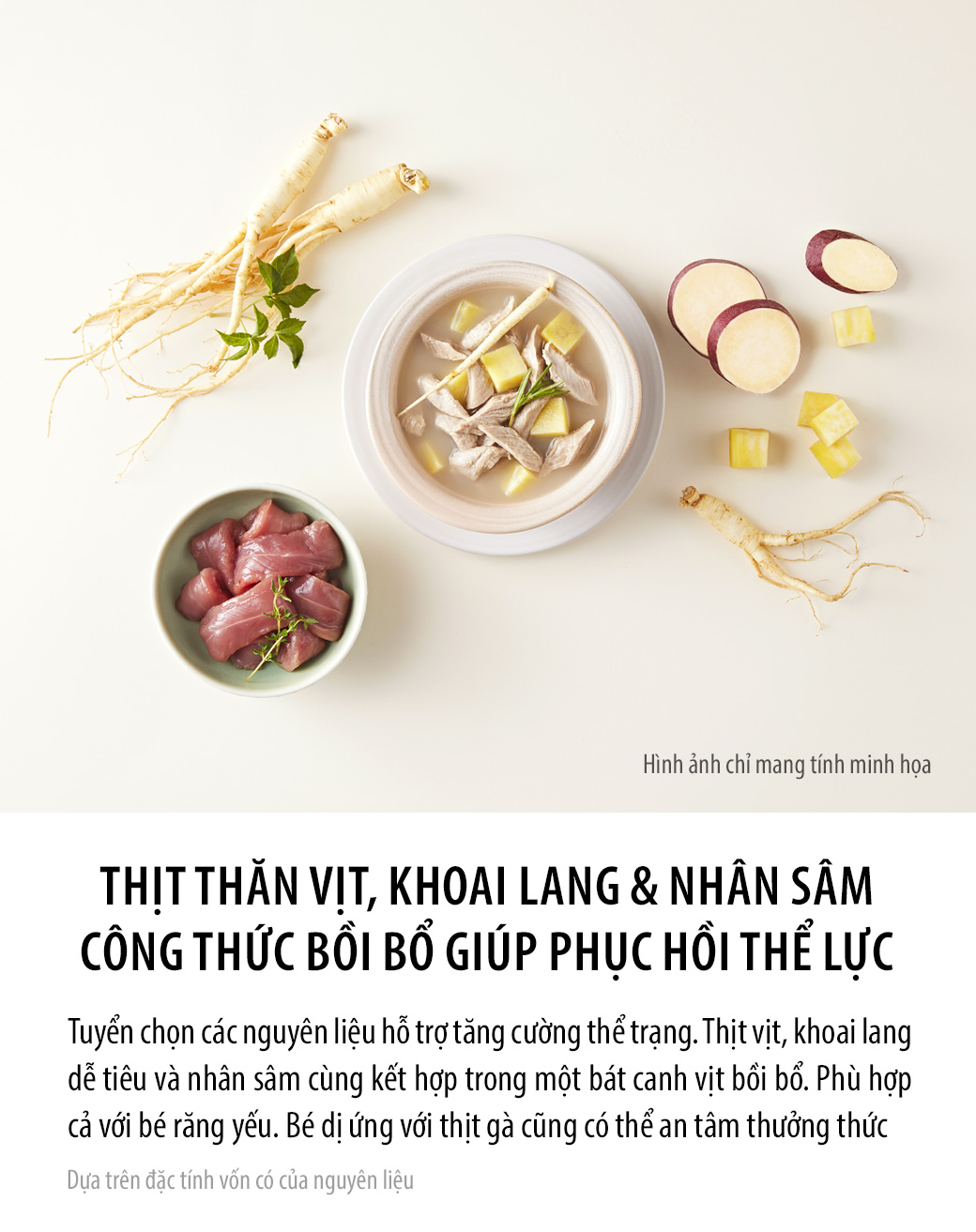 Súp vịt dinh dưỡng bồi bổ thể lực cho Chó Mèo Dhuman 80g - Image 7