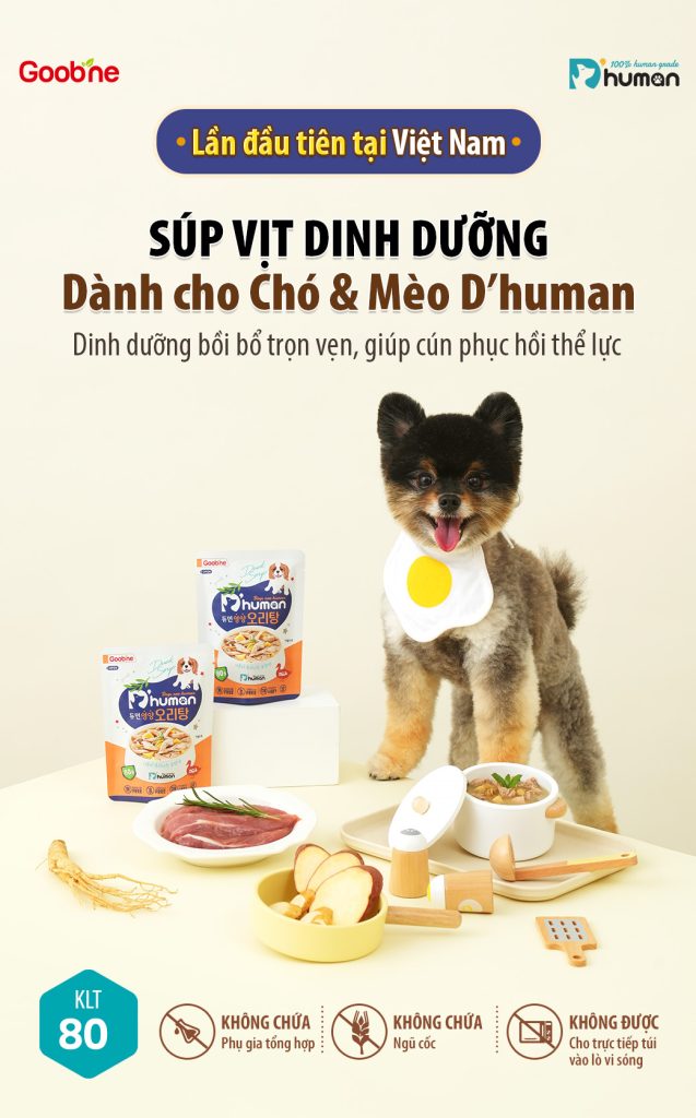Súp vịt dinh dưỡng bồi bổ sức khỏe chó mèo