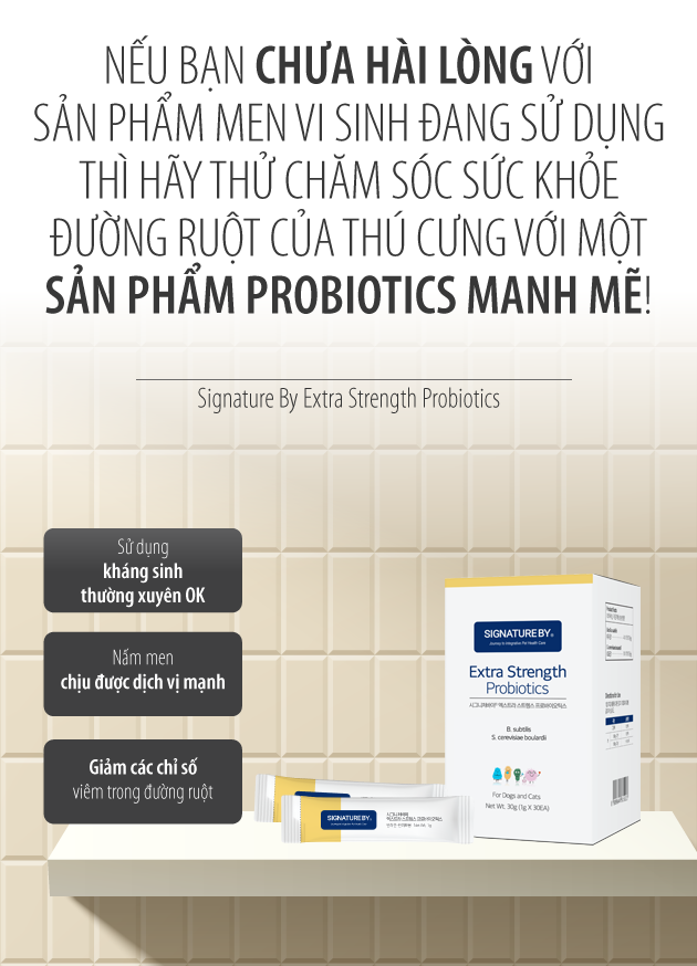 Men vi sinh lợi khuẩn kép Extra Signatureby cho Chó Mèo - Image 7