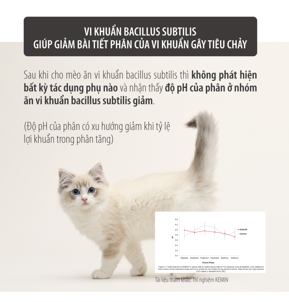 Men vi sinh lợi khuẩn kép Extra Signatureby cho Chó Mèo